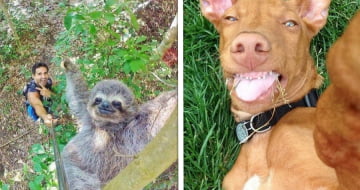 15 Animais que tiraram selfies melhor que muita gente