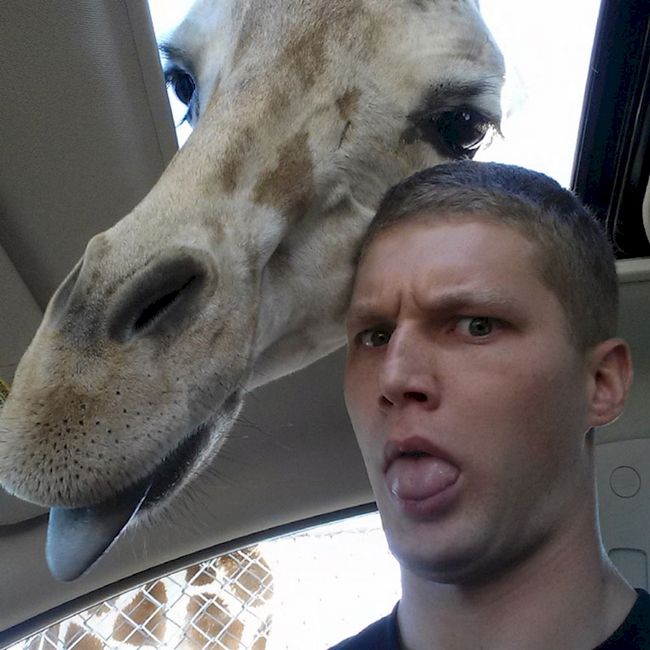 selfie animais 15