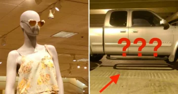 Estas 14 fotos de sombras contaram uma história bem diferente do que de fato aconteceu